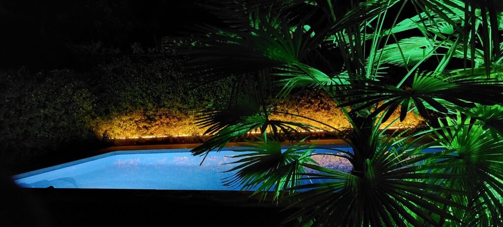 iluminacion jardin led gold palmeras verdes